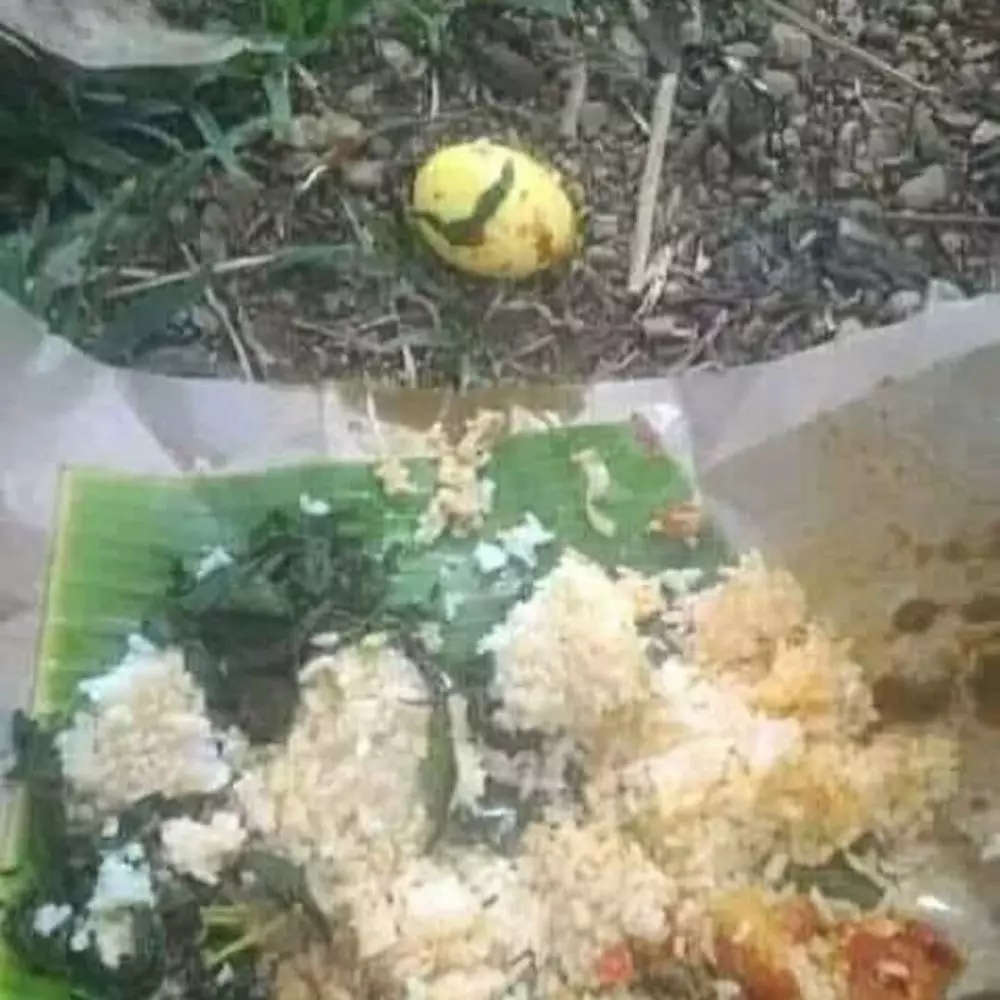 nyesek banget nggak jadi makan © Instagram nyesek banget nggak jadi makan © Instagram