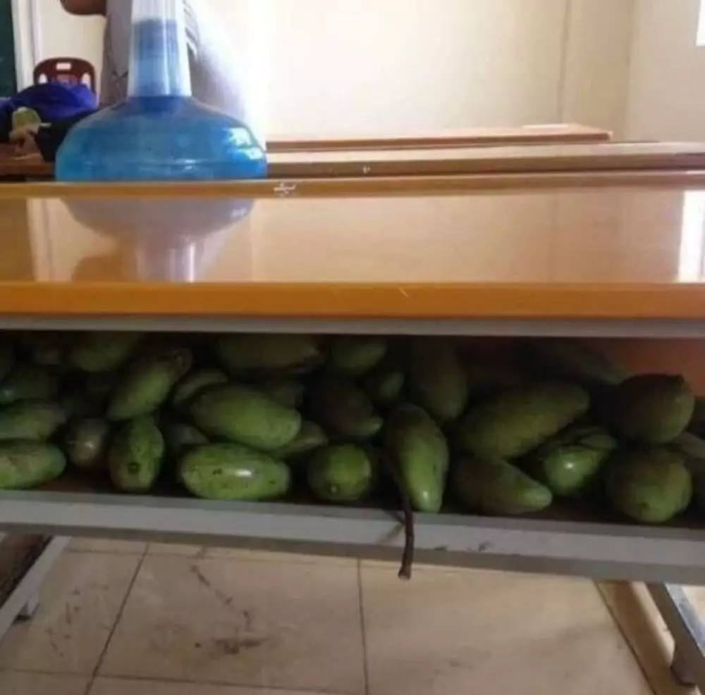 potret janggal di sekolah © berbagai sumber potret janggal di sekolah © berbagai sumber