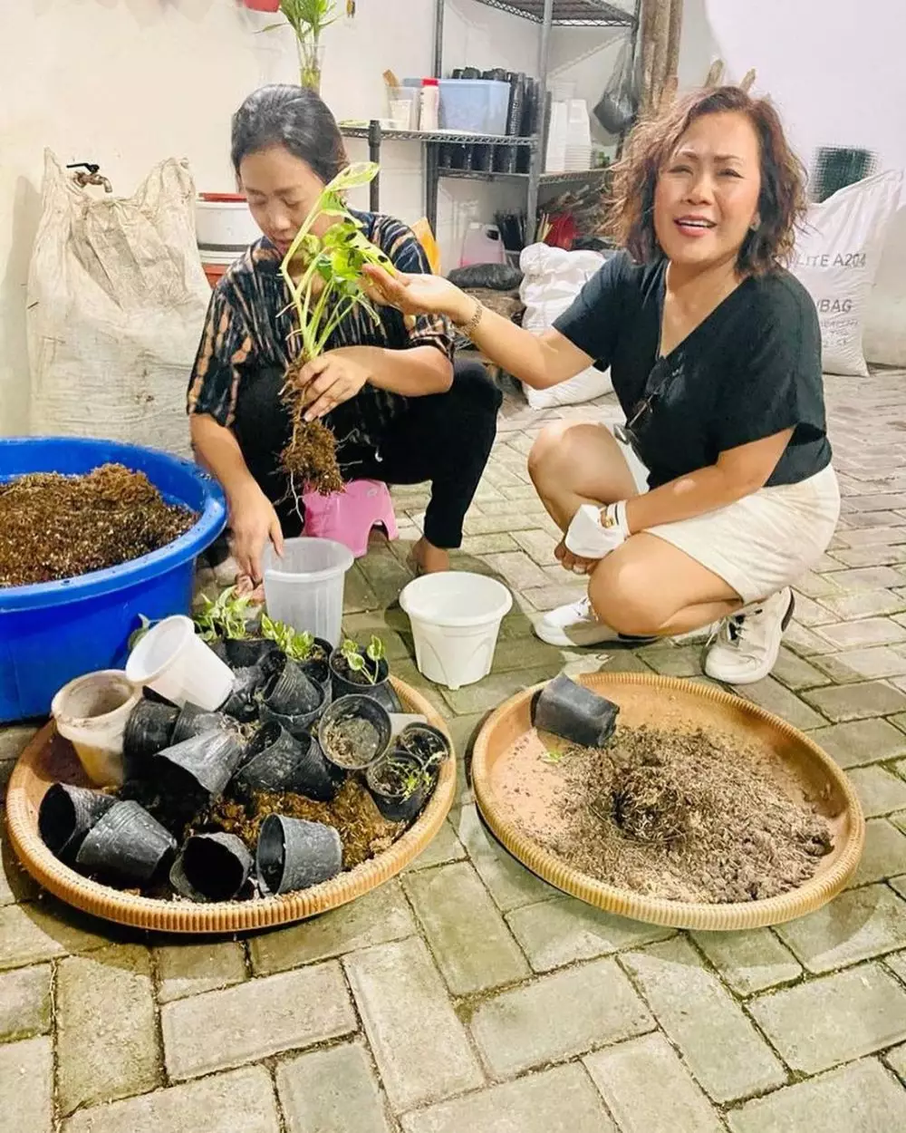 Soimah ajak bos TV berkebun  © Instagram