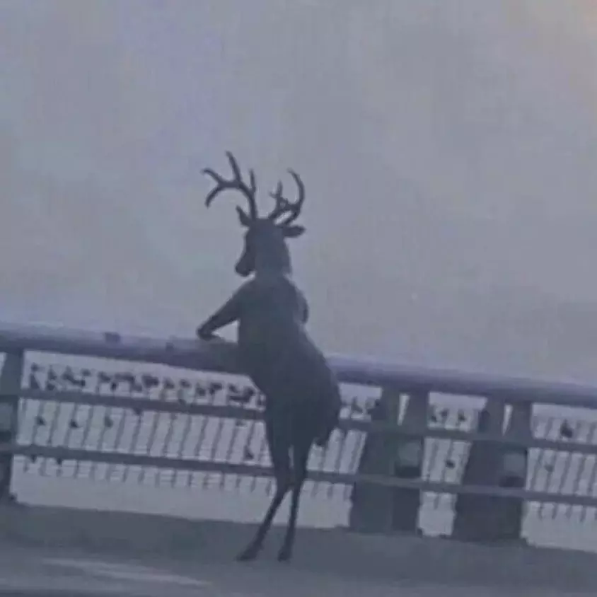 momen foto ada yang salah © Instagram