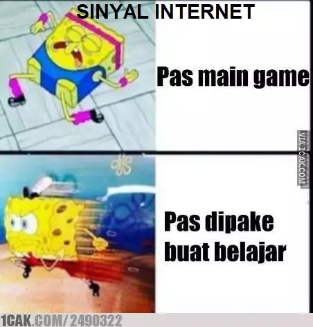 meme cari sinyal © berbagai sumber