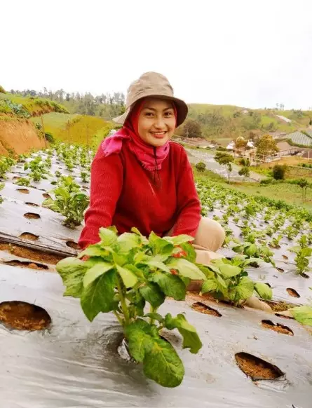 Kisah perjalanan hidup Novi Listiana © Instagram Kisah perjalanan hidup Novi Listiana © Instagram