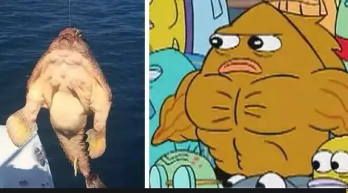 mirip tokoh kartun spongebob © berbagai sumber