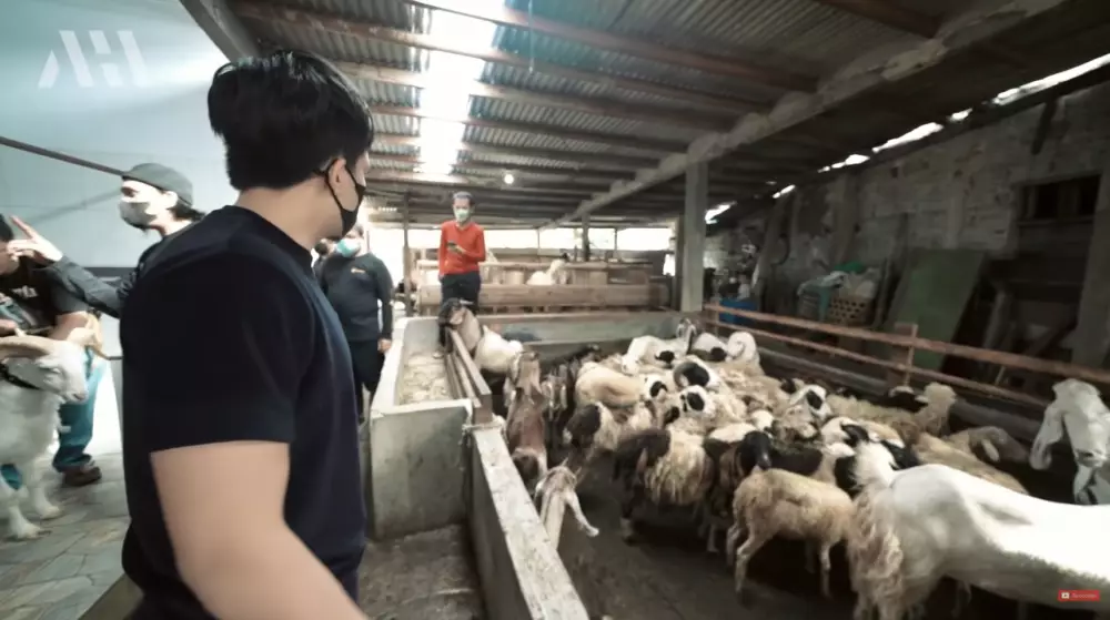 Momen akikah Ameena anak pertama Aurel © YouTube