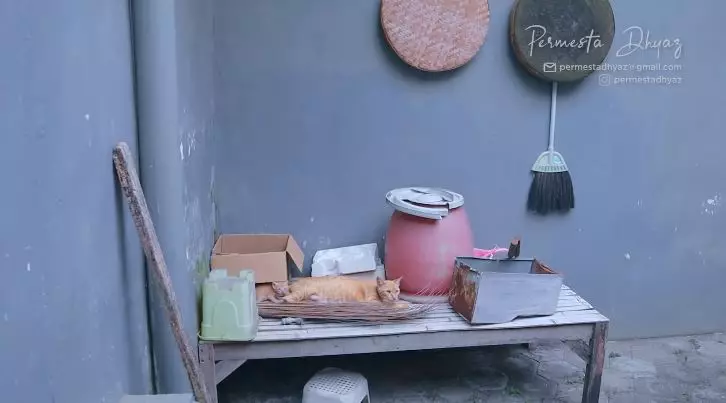 potret rumah vlogger farida nurhan © YouTube