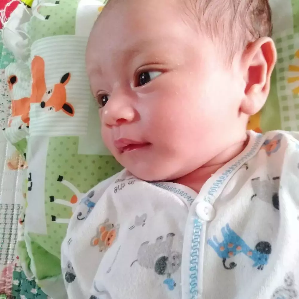 Askara Putra Alfahri anak Andin dan Aldebaran Berbagai sumber