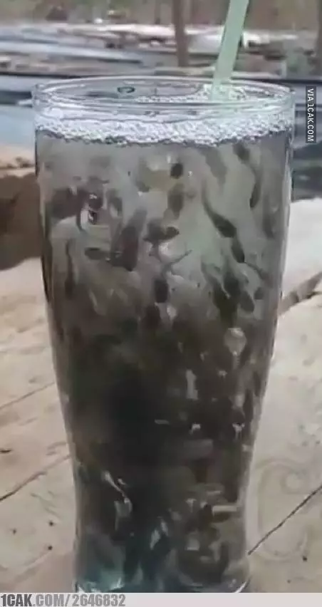 potret nyeleneh minuman kekinian © berbagai sumber