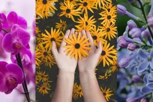 Tes ini dapat mengenali tantangan yang harus kamu atasi, coba yuk