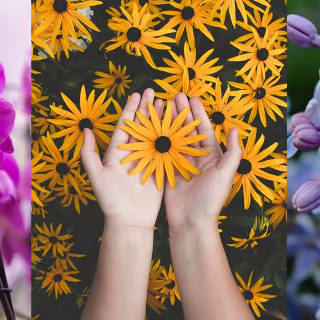 Tes ini dapat mengenali tantangan yang harus kamu atasi, coba yuk