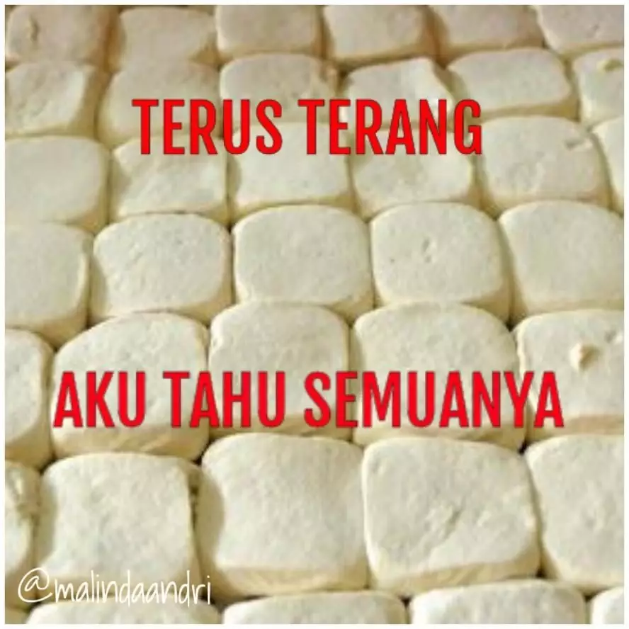 meme tahu bikin senyum © berbagai sumber meme tahu bikin senyum © berbagai sumber