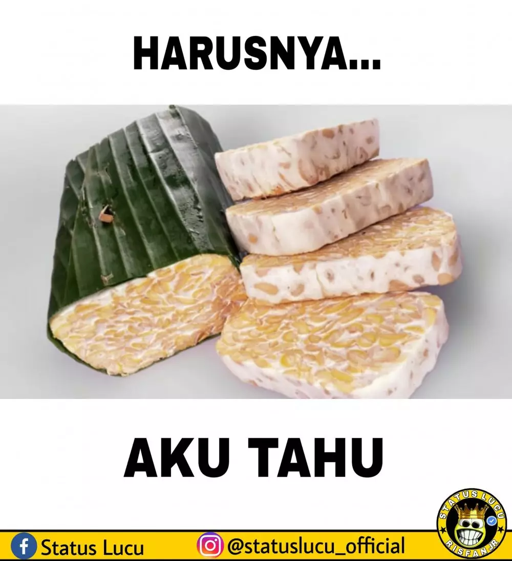 meme tahu bikin senyum © berbagai sumber meme tahu bikin senyum © berbagai sumber