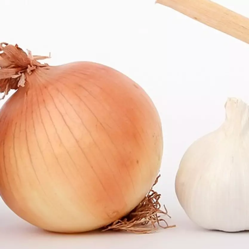 Rutin konsumsi setiap hari, 9 makanan ini bantu cegah kanker ovarium