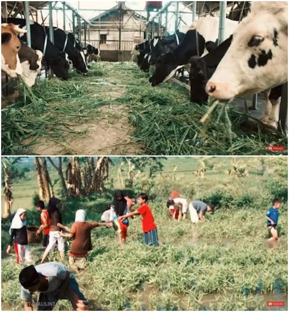 potret ponpes Atta Halilintar Berbagai sumber  potret ponpes Atta Halilintar Berbagai sumber