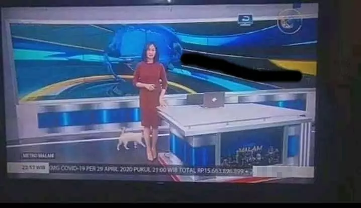 momen tak terduga saat siaran © berbagai sumber