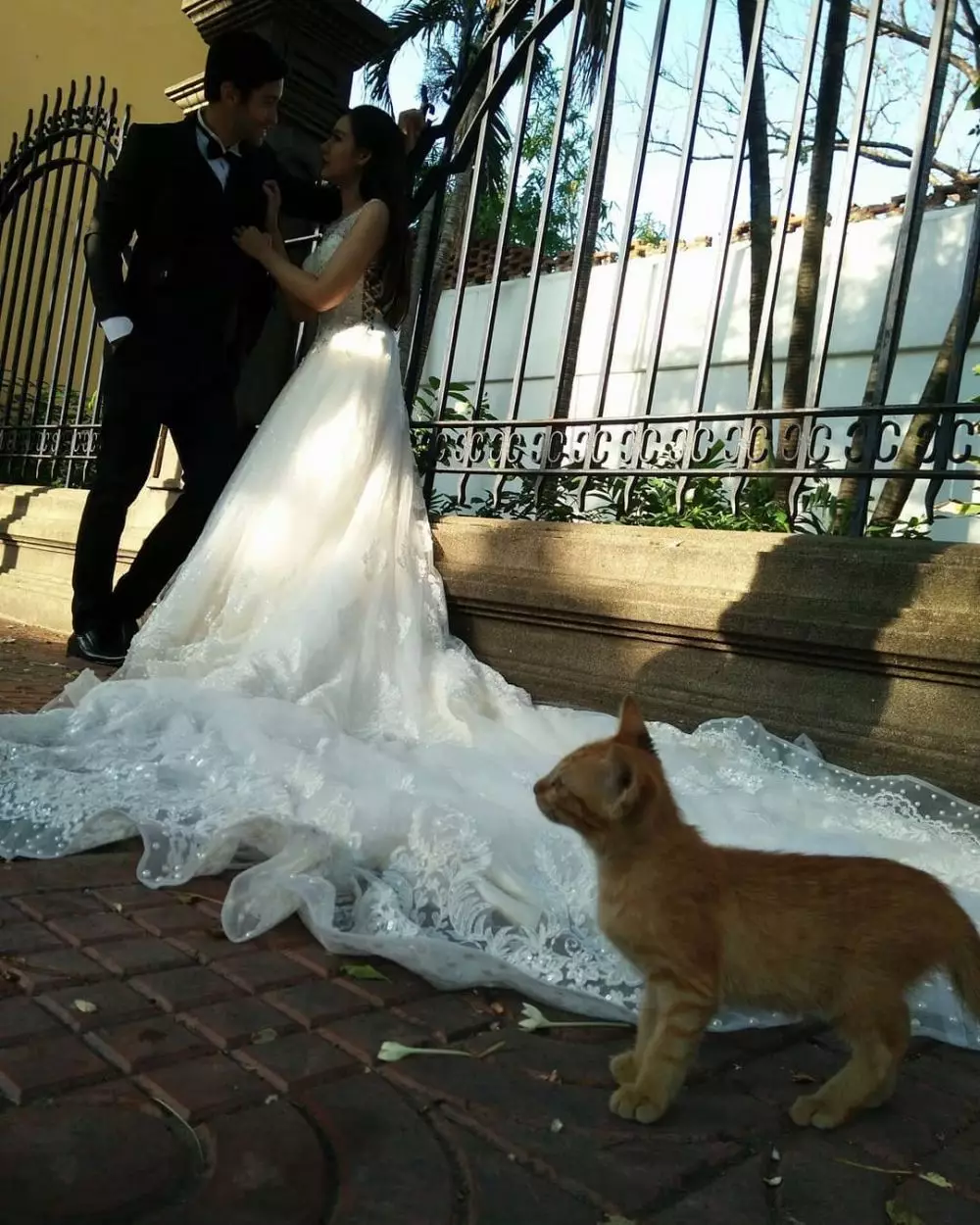 photobomb di tempat umum © berbagai sumber photobomb di tempat umum © berbagai sumber