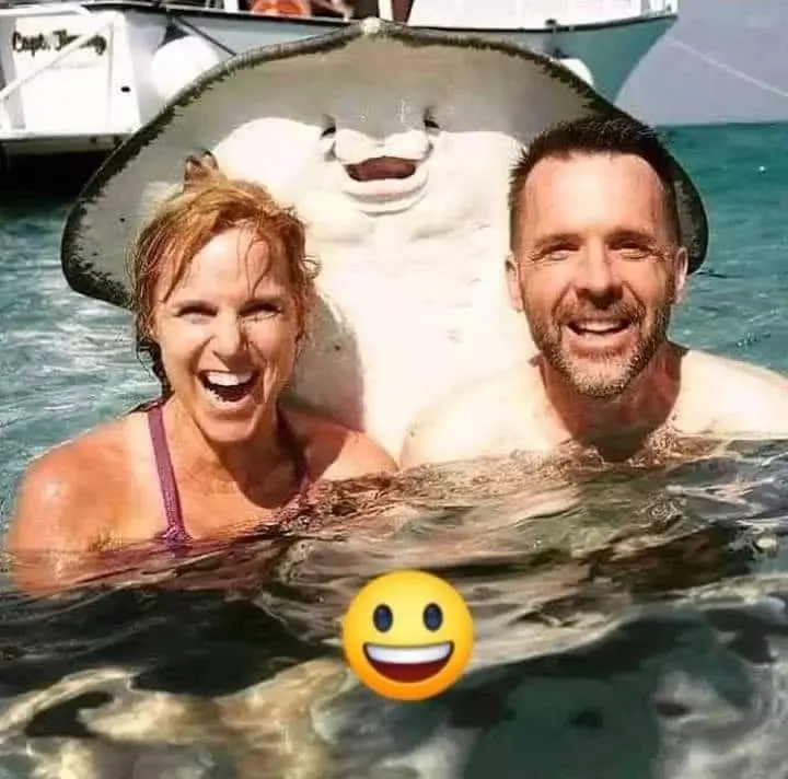 photobomb di tempat umum © berbagai sumber photobomb di tempat umum © berbagai sumber