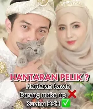 pria beri seserahan kucing saat menikah © TikTok