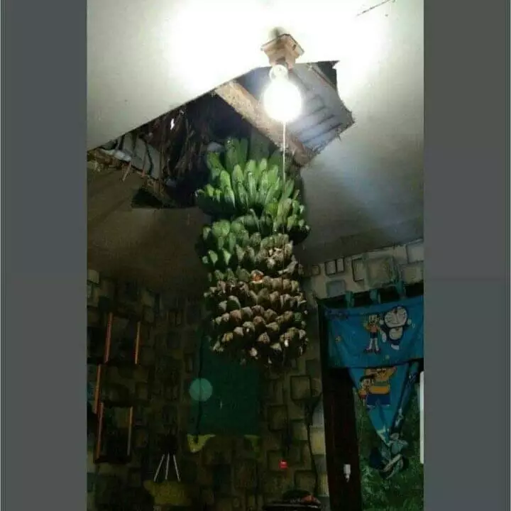 barang jadi rusak kenapa ya? © Instagram barang jadi rusak kenapa ya? © Instagram