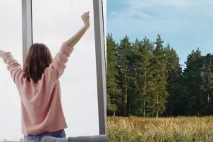 9 Arti mimpi seputar pohon menurut Islam, bawa pertanda baik