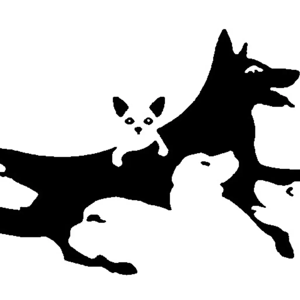 Ungkap potensi terbesarmu dari jumlah anjing yang dilihat di foto ini