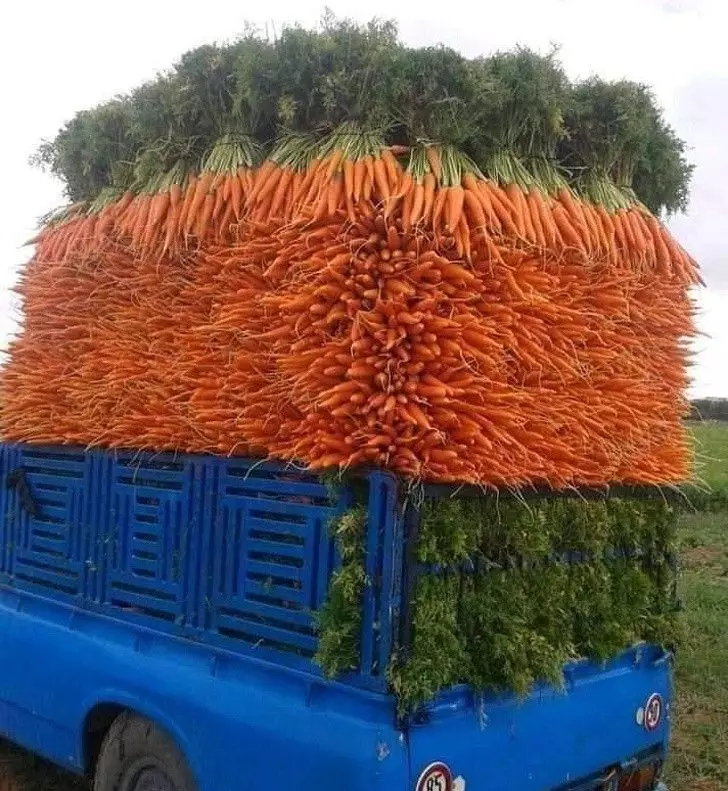 benda terlalu sempurna © berbagai sumber