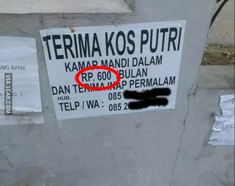 pengumuman terima kos © berbagai sumber