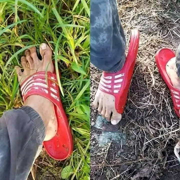 detik detik kena apes © berbagai sumber detik detik kena apes © berbagai sumber