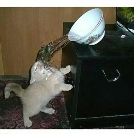 detik detik kena apes © berbagai sumber detik detik kena apes © berbagai sumber