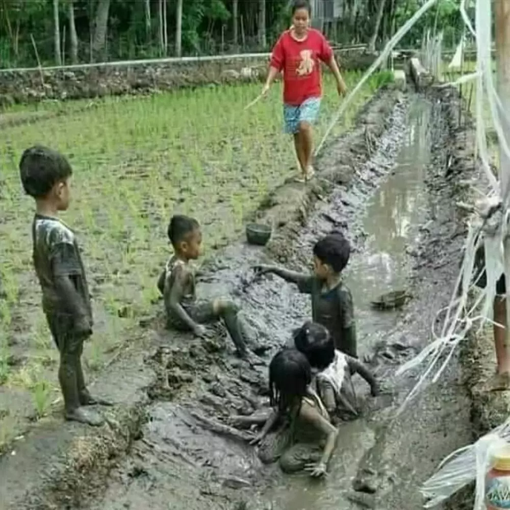 detik detik kena apes © berbagai sumber detik detik kena apes © berbagai sumber