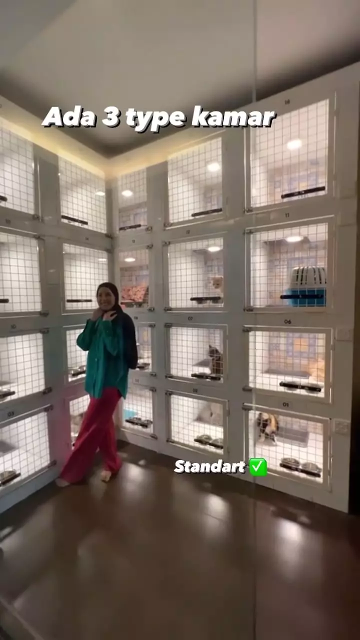 penampakan hotel kucing milik tya ariestya © instagram
