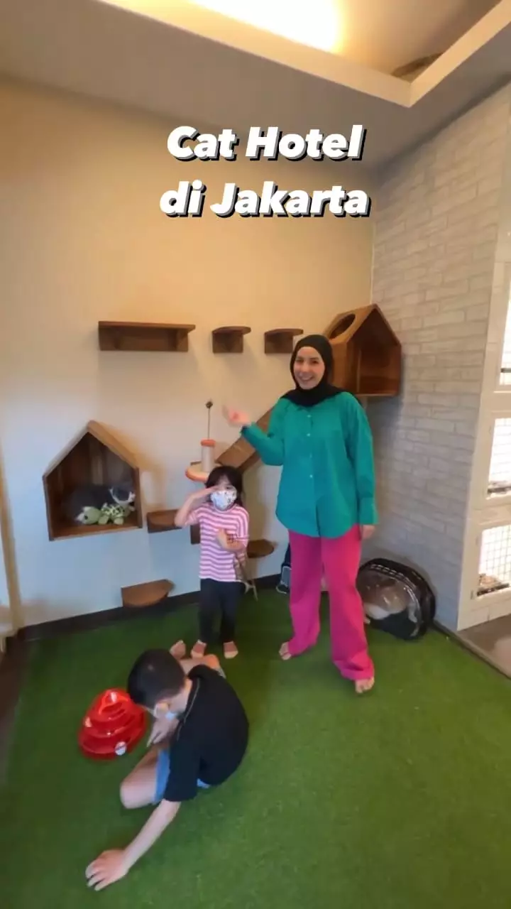 penampakan hotel kucing milik tya ariestya © instagram