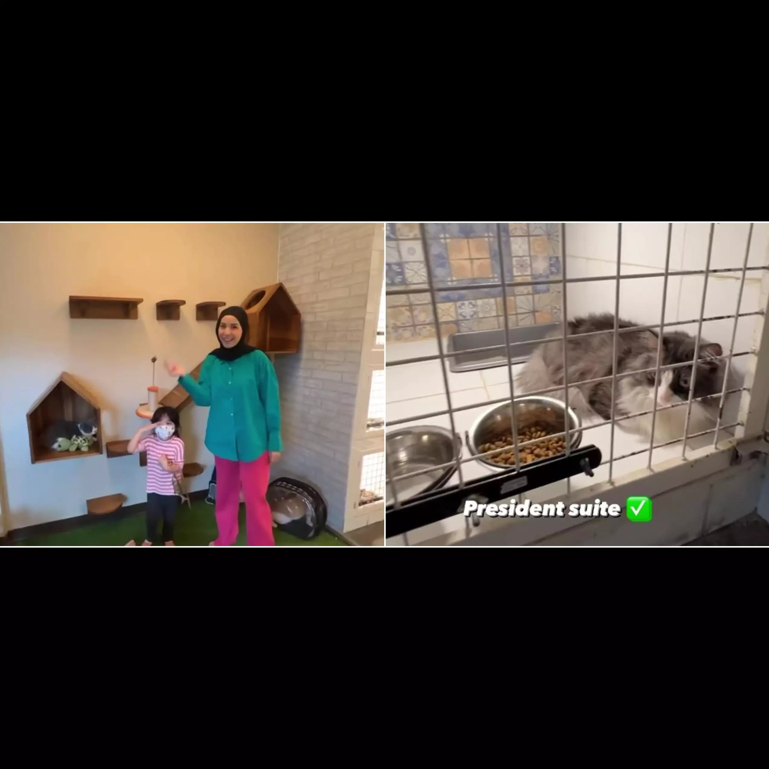 9 Penampakan hotel kucing milik Tya Ariestya, dilengkapi playground