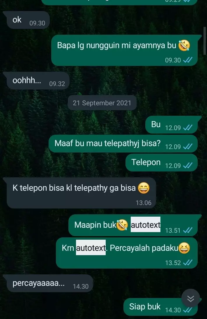 Chat typo balas pesan rekan kerja © 2022 berbagai sumber