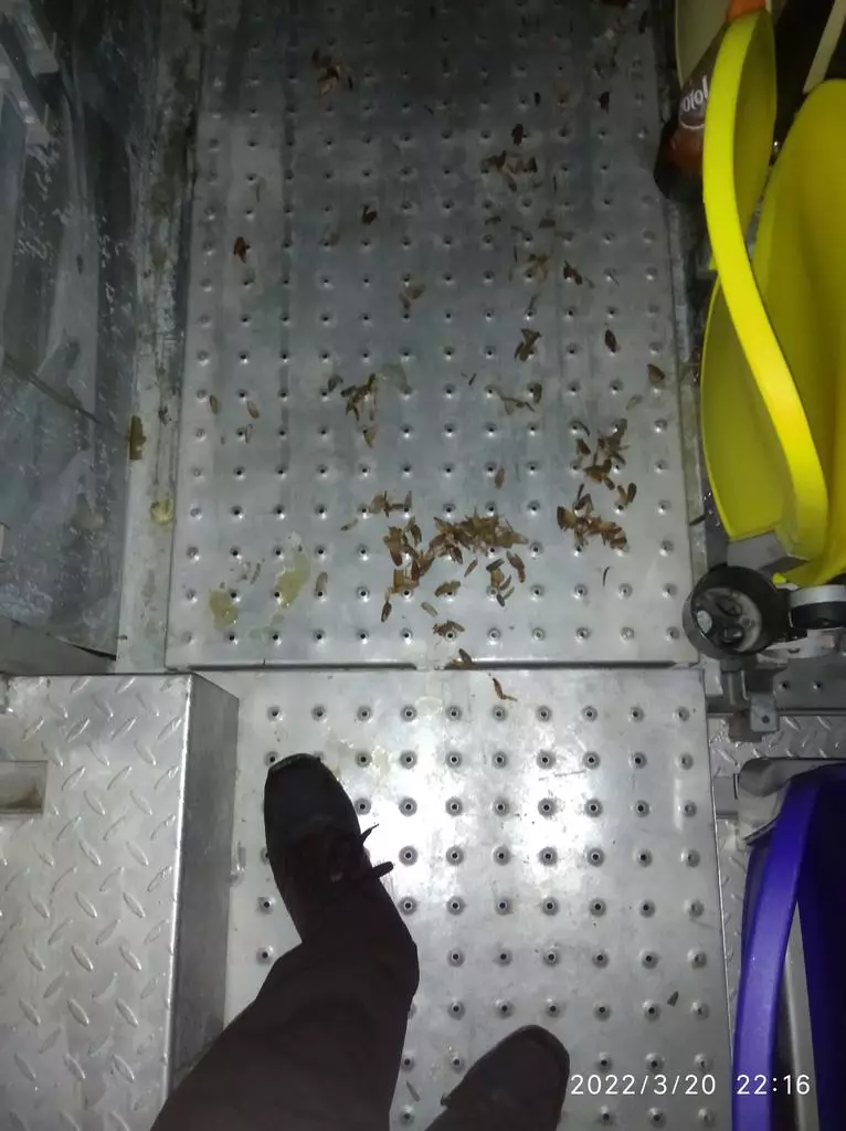 potret sampah berserakan di Sirkuit Mandalika © Twitter/@Muhammad_Getar