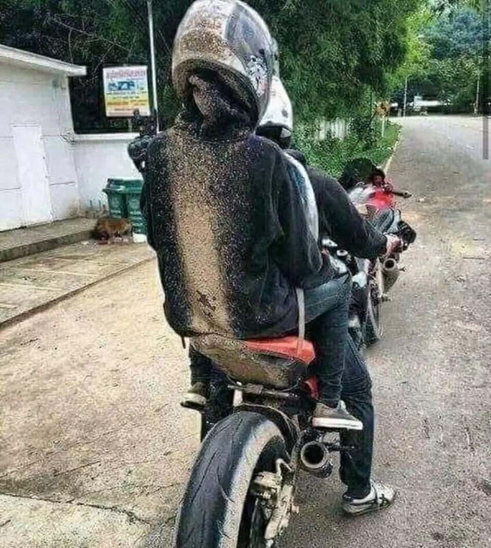 momen jadi yang paling apes kocak © berbagai sumber momen jadi yang paling apes kocak © berbagai sumber