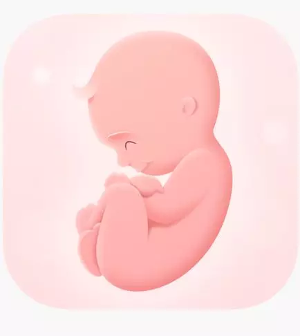 11 Aplikasi ibu hamil di smartphone, bantu ketahui kesehatan janin © play.google.com 11 Aplikasi ibu hamil di smartphone, bantu ketahui kesehatan janin © play.google.com