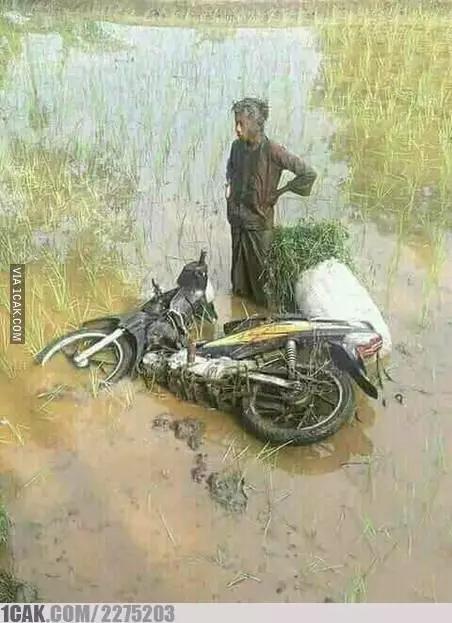 bapak-bapak bercocok tanam © berbagai sumber bapak-bapak bercocok tanam © berbagai sumber