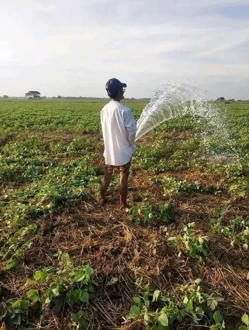 bapak-bapak bercocok tanam © berbagai sumber bapak-bapak bercocok tanam © berbagai sumber