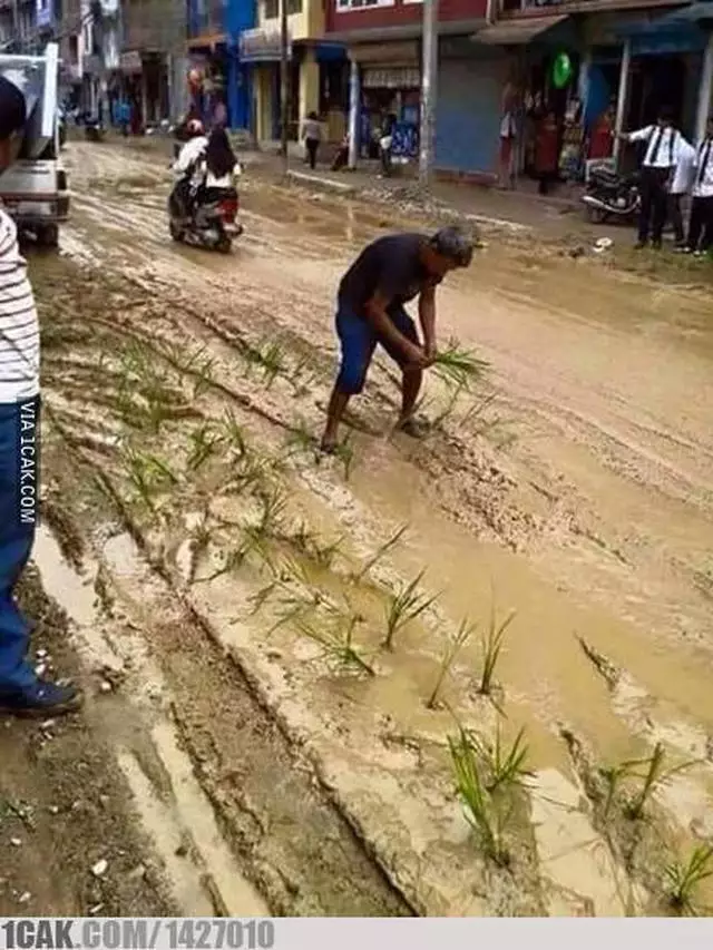 bapak-bapak bercocok tanam © berbagai sumber bapak-bapak bercocok tanam © berbagai sumber