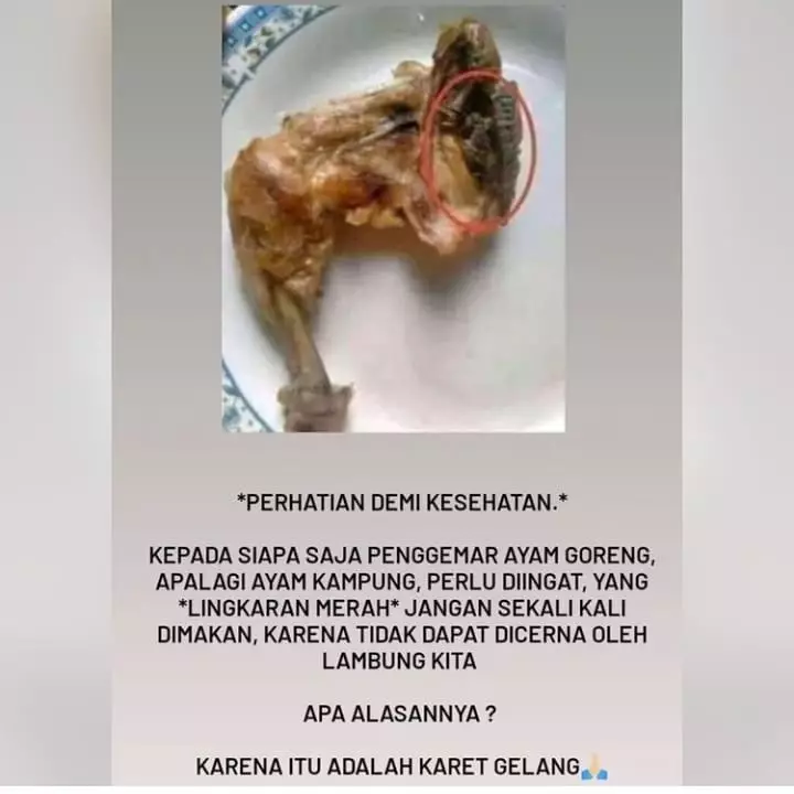 status lucu soal menu makanan kocak © Instagram