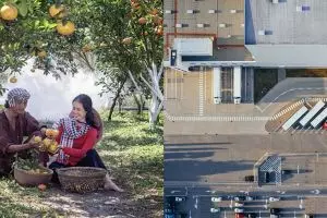 Pengertian produksi, fungsi, manfaat dan contohnya