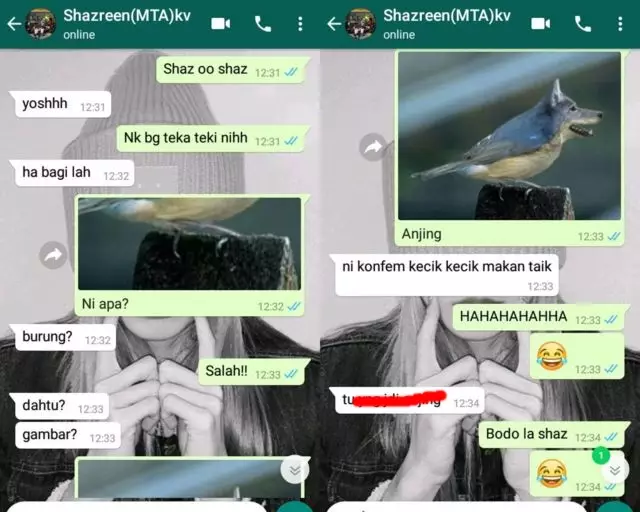 chat tebak-tebakan lucu © berbagai sumber