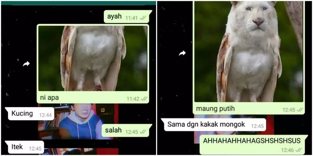 chat tebak-tebakan lucu © berbagai sumber