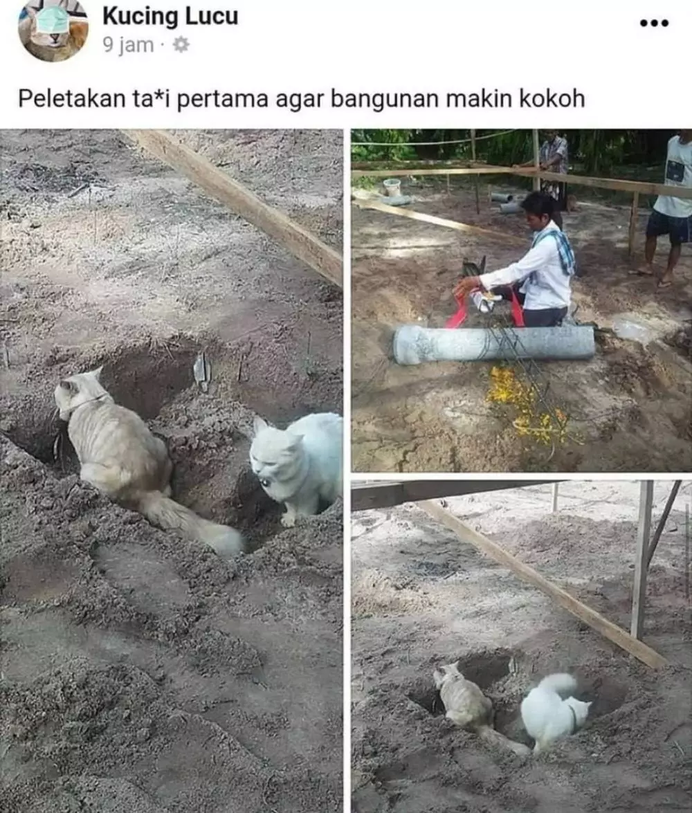 hewan peliharaan ngeselin banget © Instagram hewan peliharaan ngeselin banget © Instagram