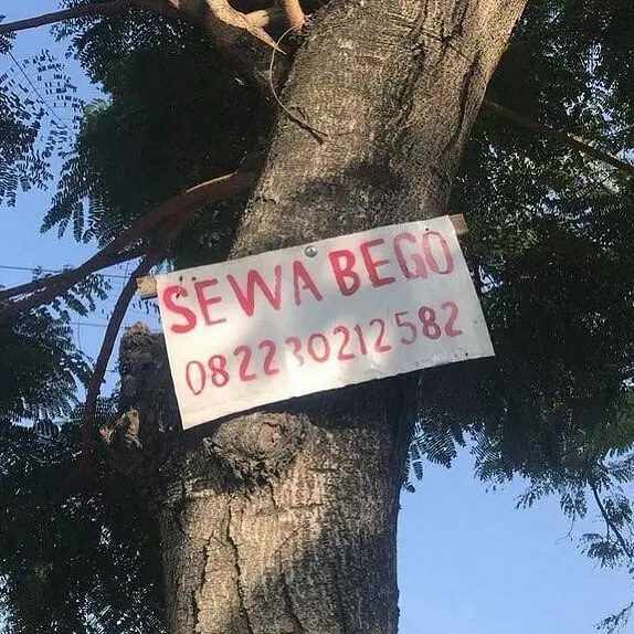 potret benda di pohon nyeleneh © berbagai sumber
