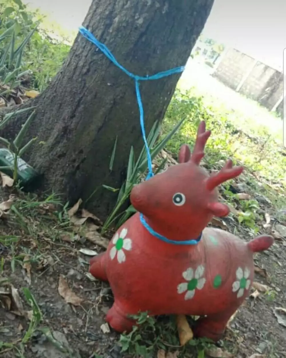 potret benda di pohon nyeleneh © berbagai sumber