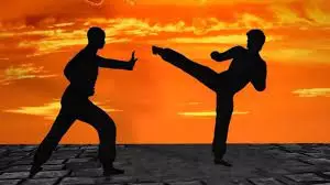 pencak silat © pixabay.com