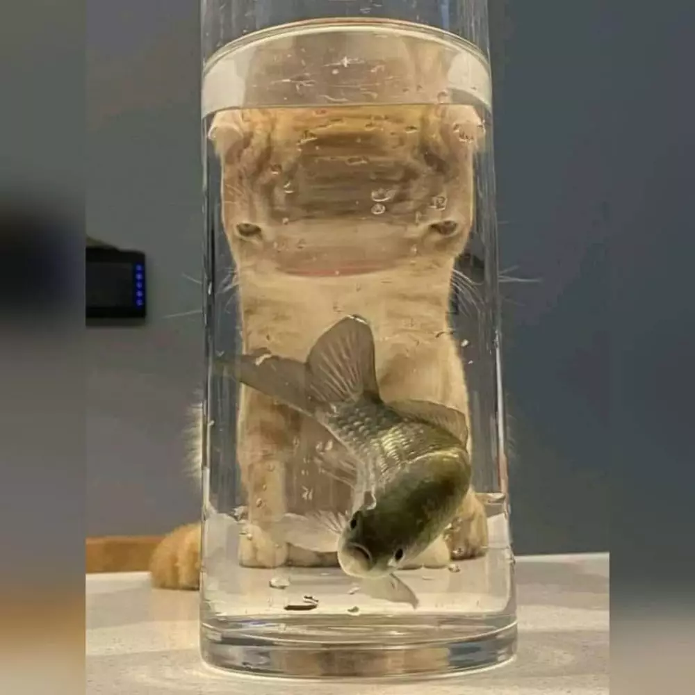 momen nyaris kaget ada aja deh © Instagram