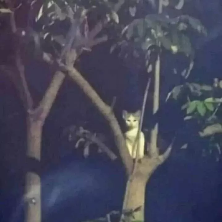 momen nyaris kaget ada aja deh © Instagram