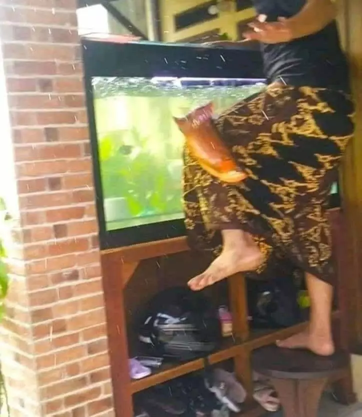 momen nyaris kaget ada aja deh © Instagram